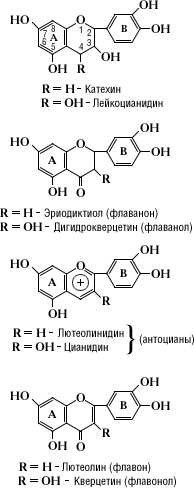 Большая Советская Энциклопедия (ФЛ)