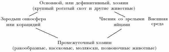 Болезни крупного рогатого скота