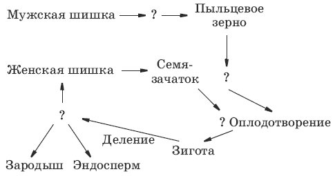 Установите правильную последовательность действий в алгоритме вынуть флешку из разъема