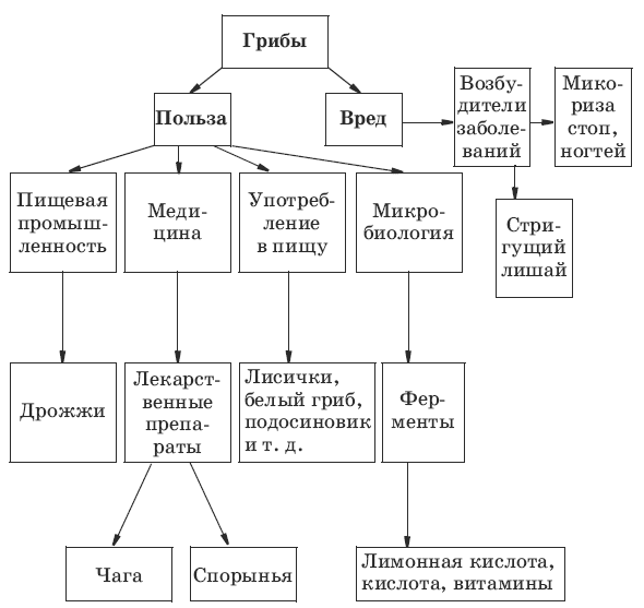 Пройти тесты по биологии 8-9 класса