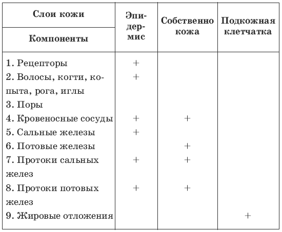 термины по биологии 5 класс