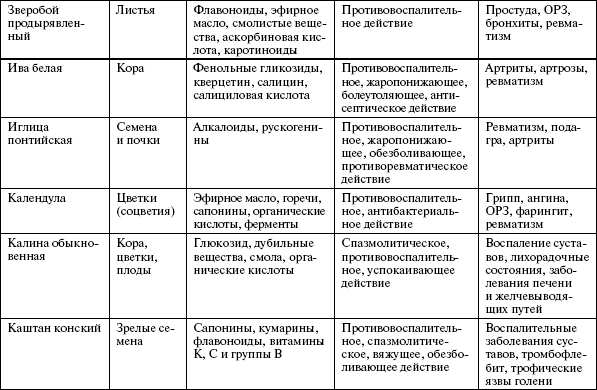 Здоровье опорно-двигательной системы