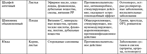 Здоровье опорно-двигательной системы