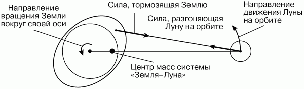 Физика: Парадоксальная механика в вопросах и ответах