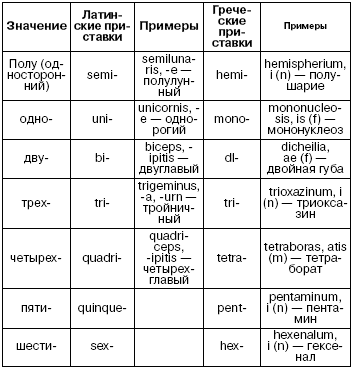 Скачать Книгу По Латыни